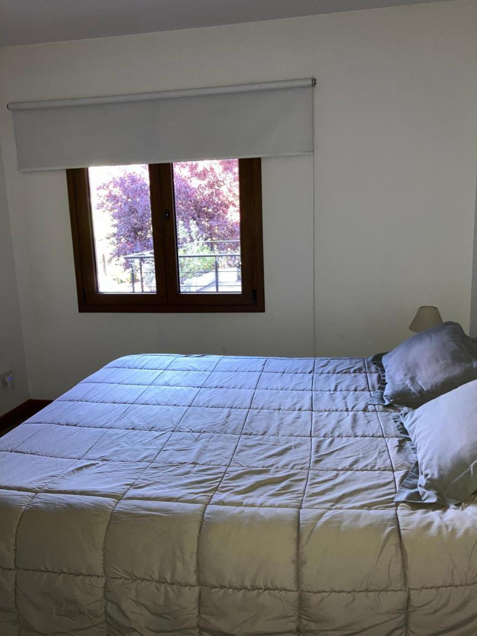 Comodo Departamento Centrico En San Martin De Andes